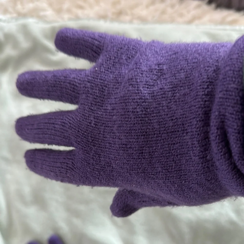 Echo Soft Elegant Purple Knit Gloves